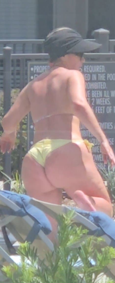 Click to view full size Pawgs unleashed