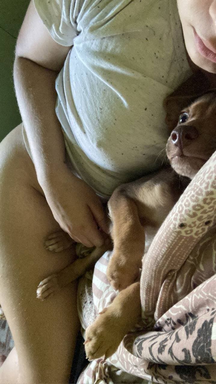 Click to view full size Novinha Regina Schneider do tiktok transando conteúdos exclusivo dela dando no grupo vazou vazado ?