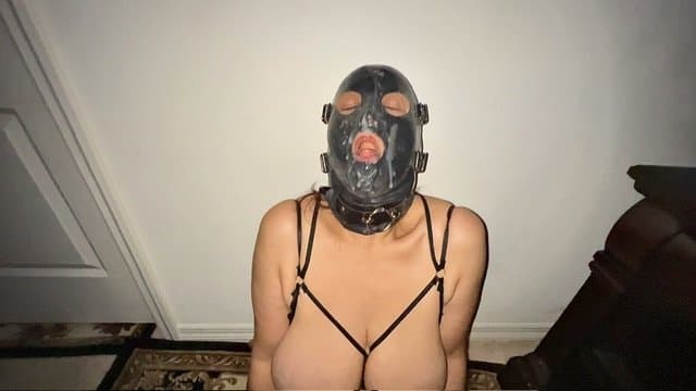 Click to view full size Gimp slut cum whore