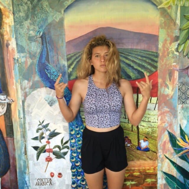 Click to view full size Halle